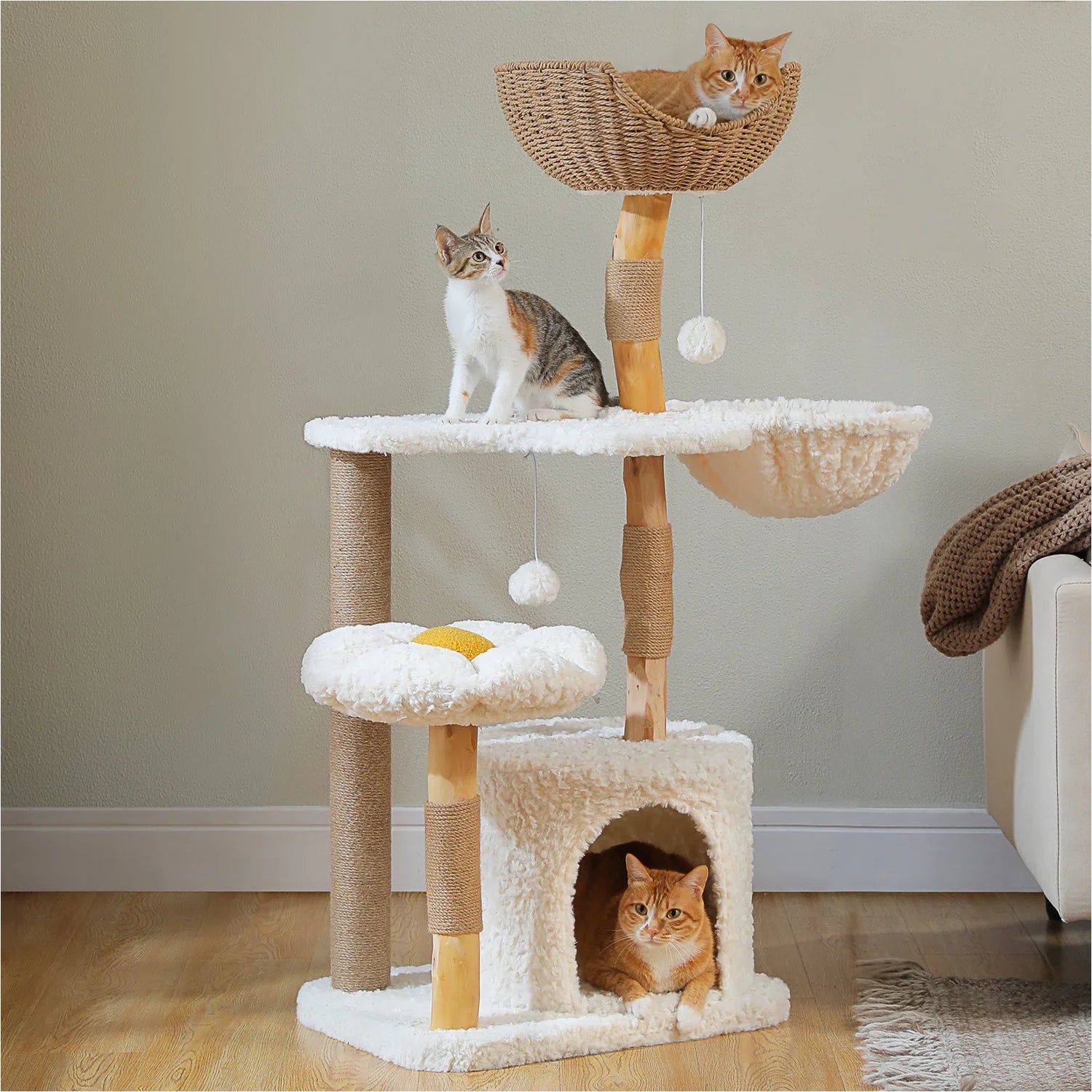 Pets Homes